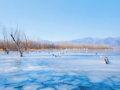 -野鸭湖国家湿地公园