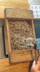 -DoDo梦想城(泉舜购物中心店)