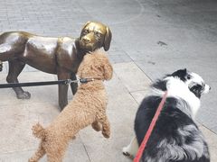 -中粮·祥云小镇