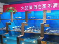 -蟹小姐节气生鲜·年货(高新店)