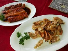 -云中小雅