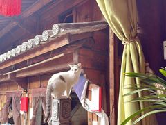 -龙姐私房菜(和顺古镇店)