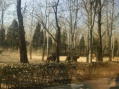 -秦皇岛野生动物园