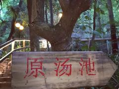 -花水湾第一村温泉大酒店