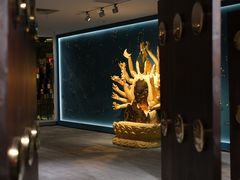 -大视光学•LINDBERG林德伯格•全球手工眼镜集合店(王府井店)