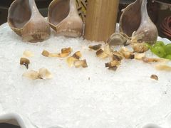 -驻海渔市(置信店)