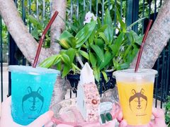 -TrueLove @ Neverland (Husky Cafe)