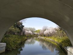 -洛阳市隋唐城遗址植物园