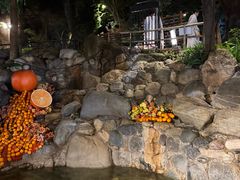 -湖泉半山温泉(湖泉生态园)