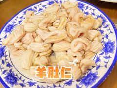 -老爆肚满五香烧牛羊肉