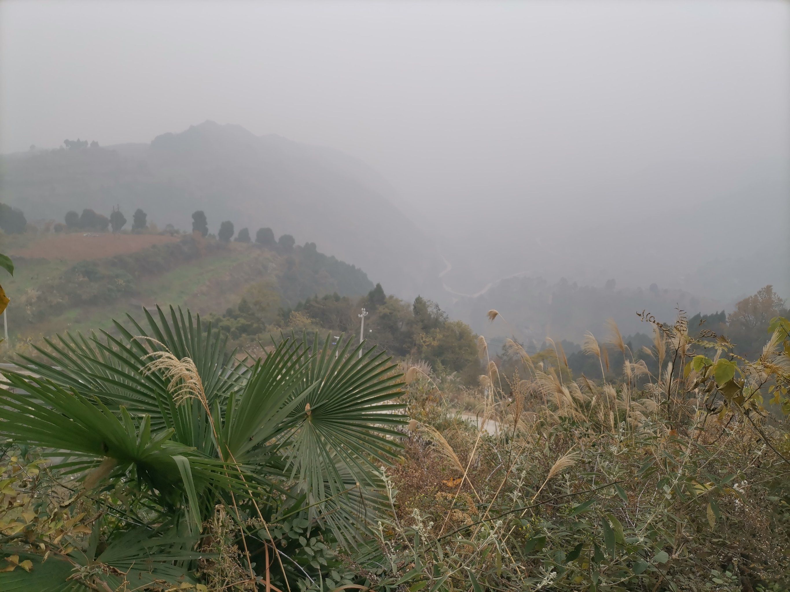 龙泉山最高点凉风垭海拔1050