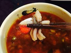 -重庆乌鱼庄·龙滋鲜(青羊大道店)