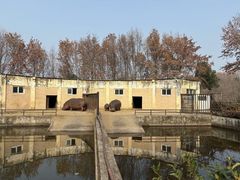 -合肥野生动物园