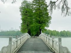 -东湖听涛景区