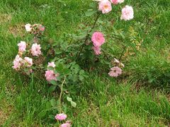 -长春市南湖公园