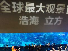 -成都浩海立方海洋公园