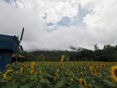 -广州市流溪河国家森林公园