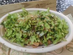 -油梨树AVOCADO TREE(顺义新国展店)