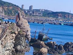 -大连老虎滩海洋公园