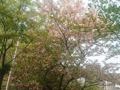 -九江美术馆
