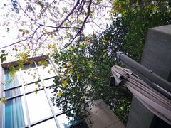 -上海宝华万豪酒店