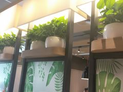 -肯德基(桂林阳朔店)