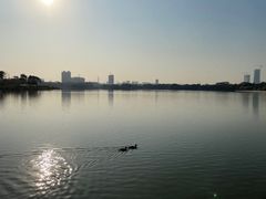 -海珠湖公园