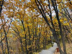 -帽儿山国家森林公园