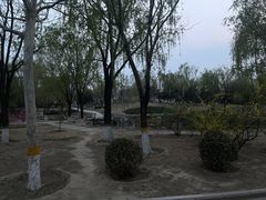 -太阳宫公园