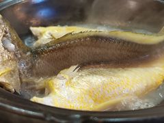 泉水黄花鱼-锦園(伊势丹美食城店)