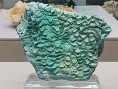 -湖南省地质博物馆