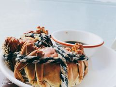 -古尚锦酒楼·水上餐厅