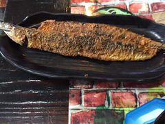 -眼镜哥浦江夜宵大本营