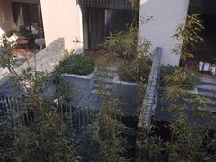 -上海崇明金茂凯悦酒店