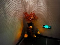 -Dragonfly悠庭·按摩Spa(静安嘉里中心店)