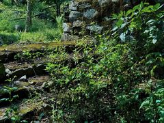 -海南热带雨林国家公园吊罗山景区