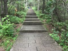 -汤旺河林海奇石景区