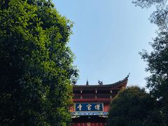 -铁山坪森林公园