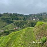 龙脊梯田