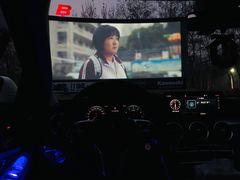 -枫花园汽车电影院(朝阳公园店)