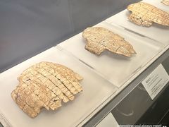 -河南博物院