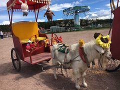 -塞罕坝国家级自然保护区