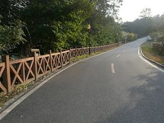 -广州市流溪河国家森林公园