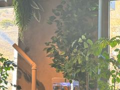 -京北渔家傲