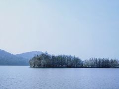 -东湖落雁景区