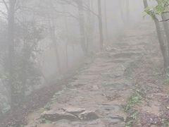 -梧桐山风景名胜区