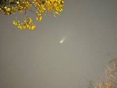 -长兴菜馆(高桥店)