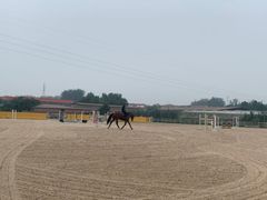 -意大利农场度假村