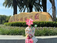 -宝安西湾红树林湿地公园