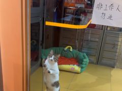 -MARSMART PETS火星宠物超市(1733店)
